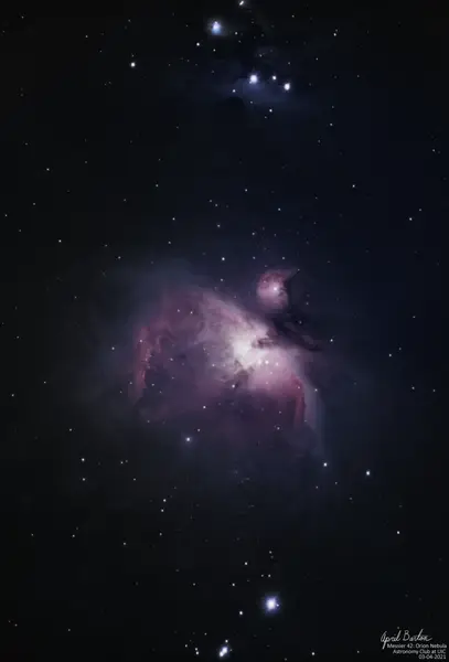 Great Orion Nebula (M42)